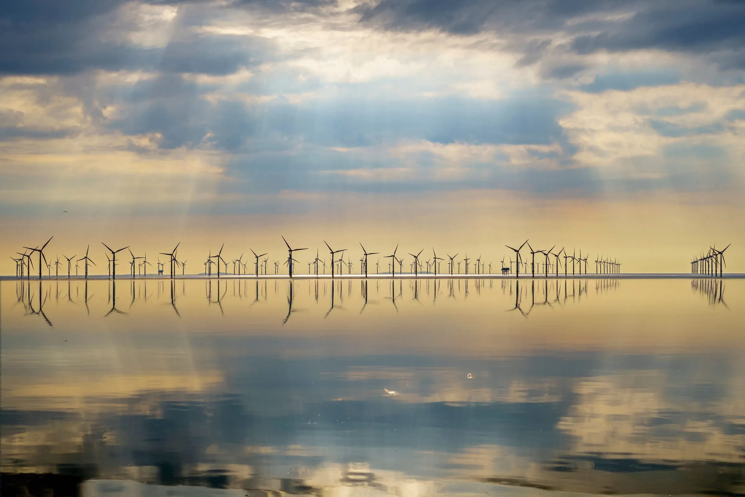 An offshore wind farm reflected in still water